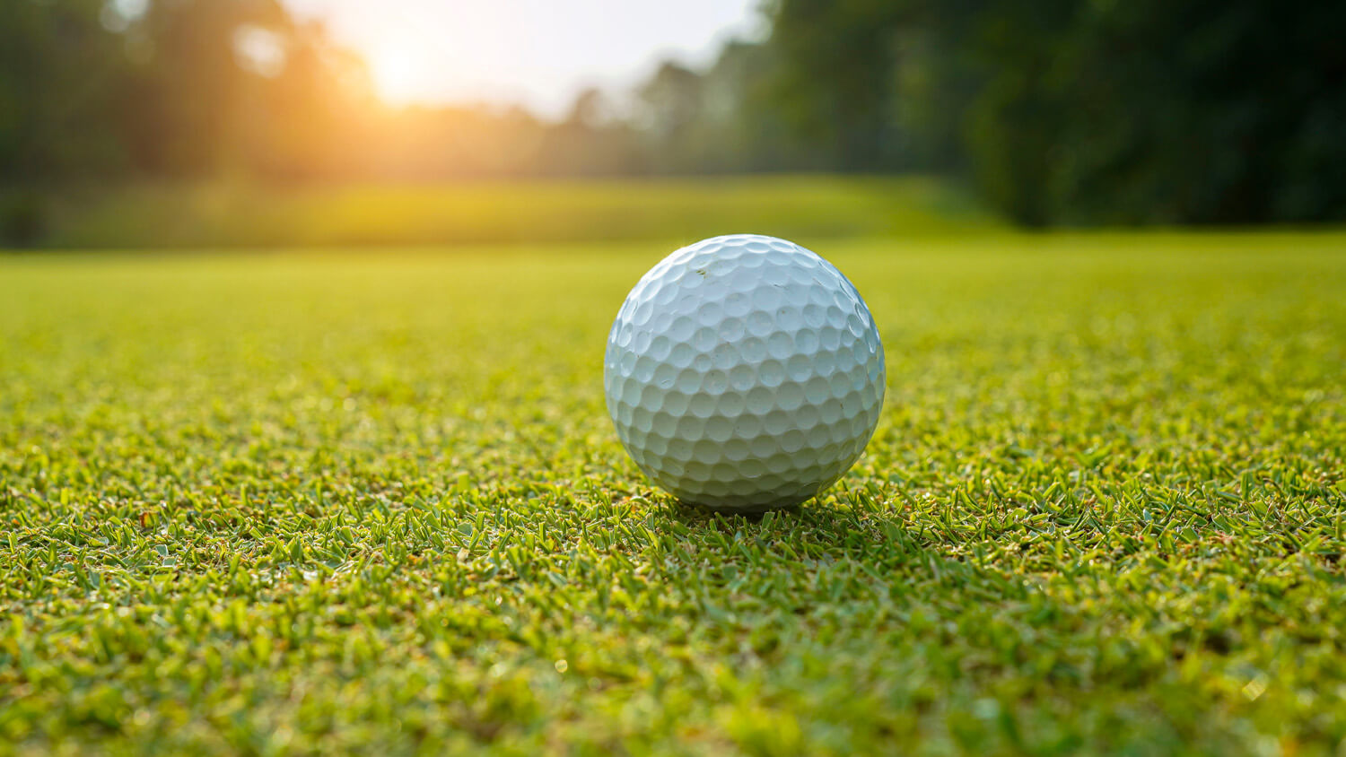 Irrigated Golf Turf